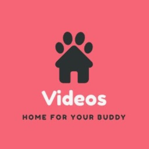 Video Asupan Bokep-terbaru